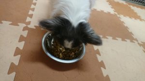 夜のお時間 2018/12/3