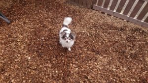 お昼の時間 2018/12/5