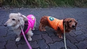 なおった！！ 2018/12/9