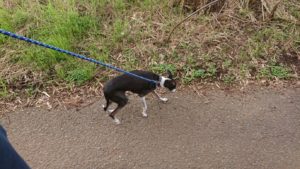 お昼のお時間 2018/12/10