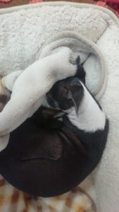 雨が降ってきた！！ 2018/12/11