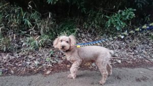 夜のお時間 2018/12/13