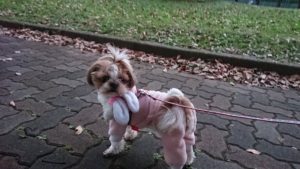 ベッドで並んで 2018/12/14