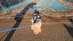 今朝の寒さは！ 2018/12/16