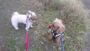 あらら 2018/12/16