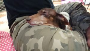 静かに仲良く？ 2018/12/17