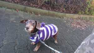 夜の時間 2018/12/17