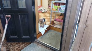 やっぱ寒い？ 2018/12/18