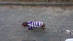 夜の時間 2018/12/18