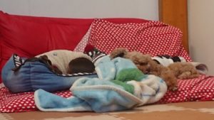 お昼寝中 2018/12/19