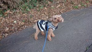 最終日だったのに 2018/12/20