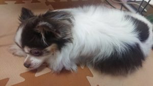 また～り 2018/12/4