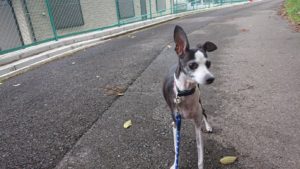 元気ね！ 2018/12/5