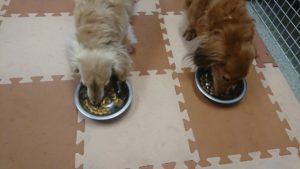 なんでぇい 2018/12/8