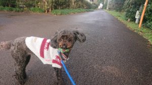 夜のお時間 2018/12/12