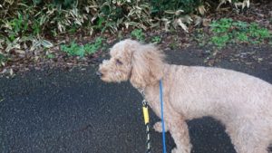 朝のお時間 2018/12/13