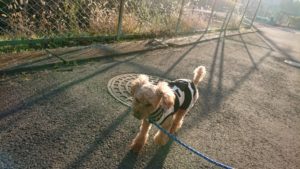 静かな朝 2018/12/21