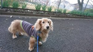 それぞれに合わせて 2018/12/22