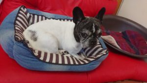 お昼です！ 2018/12/24