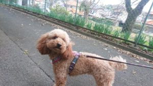 朝のお時間 2018/12/2