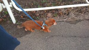 決定的瞬間 2018/12/7