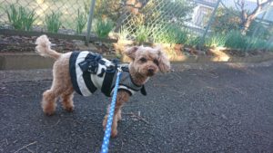 朝のお時間 2018/12/15