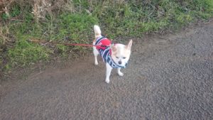 夜の時間 2018/12/31