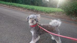 いいね！ 2018/12/27