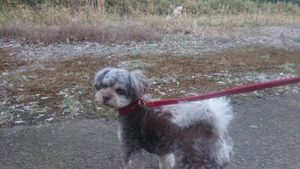 夜の時間 2018/12/27