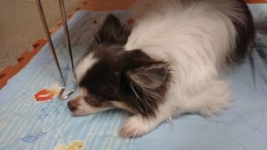 お昼です！ 2018/12/6