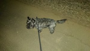 朝のお時間 2019/1/1