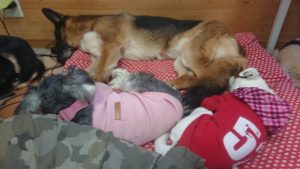 おぉおぉお！ 2019/1/1