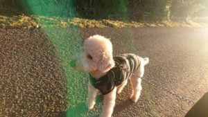 夜の時間 2019/1/1