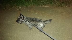 朝のお時間 2019/1/2