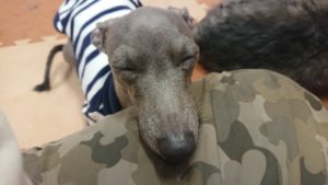 お昼の時間 2019/1/2