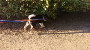 夜の時間 2019/1/2