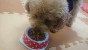 お昼の時間 2019/1/3