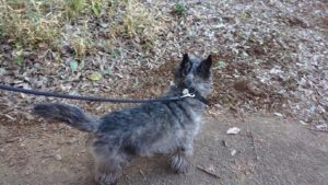 夜の時間 2019/1/3