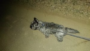 朝の時間は 2019/1/4