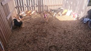 ランララン 2019/1/4