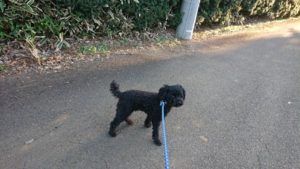 夜の時間 2019/1/4