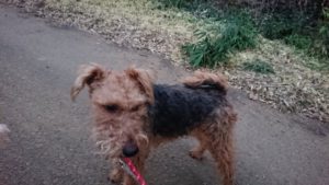 朝のお時間 2019/1/5