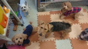 お昼の時間 2019/1/5