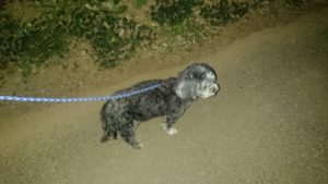 そうげいちゅ～ 2019/1/6