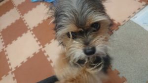 お昼の時間 2019/1/7