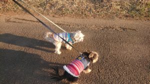 夜の時間 2019/1/8