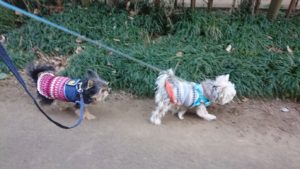 ワー！！ 2019/1/10