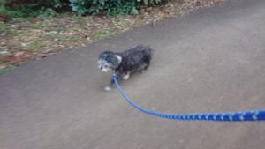 朝のお時間 2019/1/11