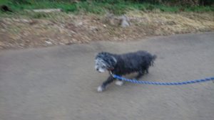 朝からも 2019/1/12