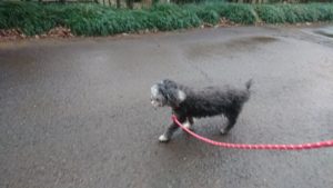 夜のお時間 2019/1/12